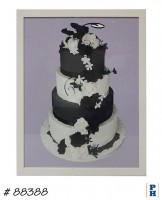Wedding Cake Photo