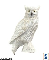 White Owl