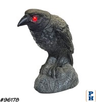Crow