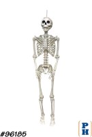 Skeleton