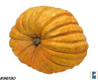 Oversize, Pumpkin