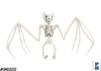 Skeleton, Bat