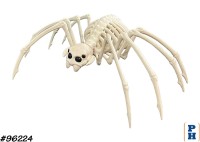 Skeleton, Spider