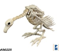 Skeleton, Vulture