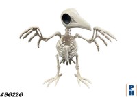 Skeleton, Crow