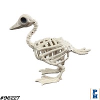 Skeleton, Duck