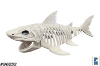 Skeleton, Shark