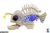 Skeleton, Angler Fish