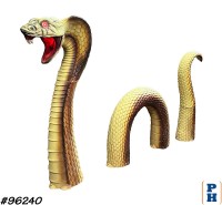 Cobra Snake