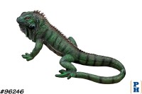 Lizard