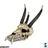 Skull, Animal