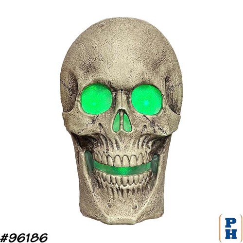 Wall Decor, Lighted Skull
