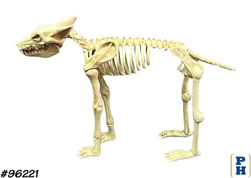 Skeleton, Wolf