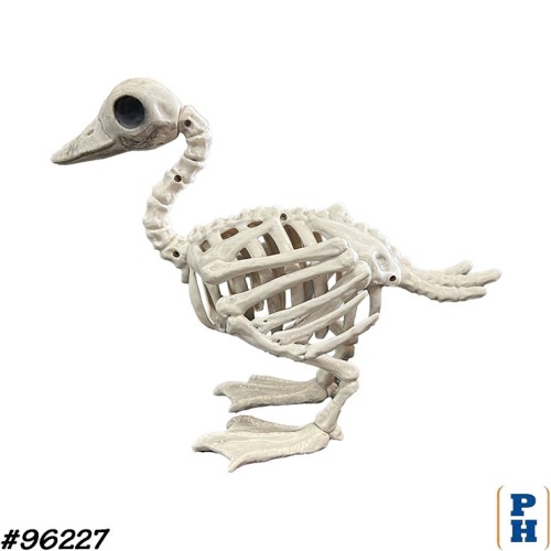 Skeleton, Duck