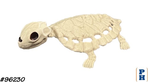 Skeleton, Turtle