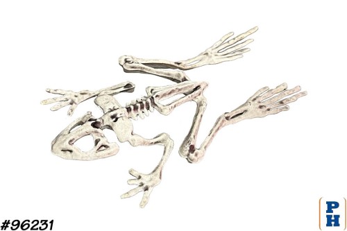 Skeleton, Frog