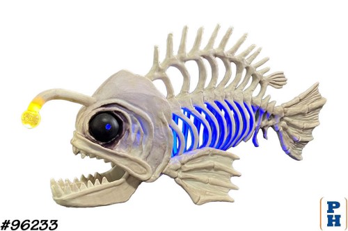 Skeleton, Angler Fish
