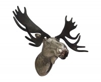 Moose Head