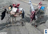Homeless Shopping Cart
