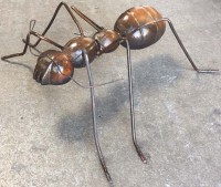 Oversize Ant