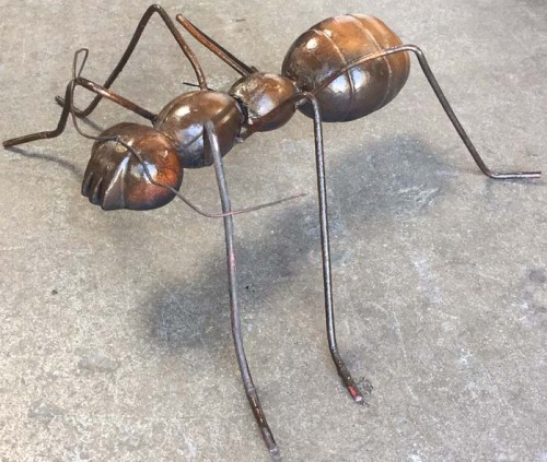 Oversize Ant