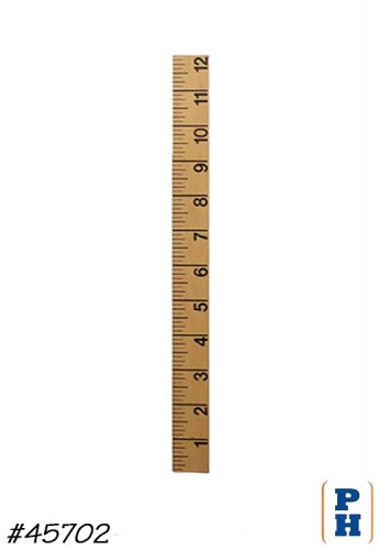 Oversize Ruler