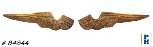 Oversize Wings