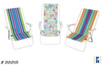 Beach Chair
