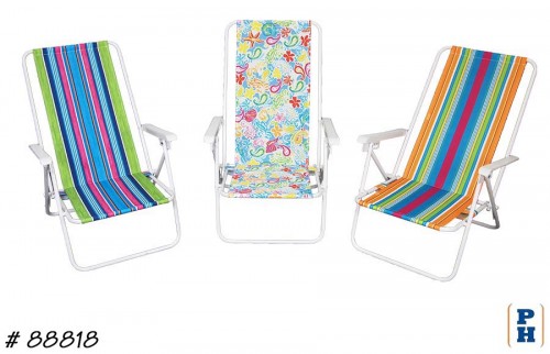 Beach Chair