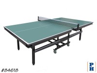 Ping Pong Table