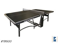 Ping Pong Table