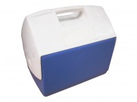 Cooler