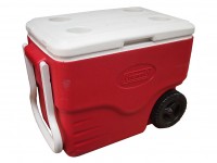 Cooler