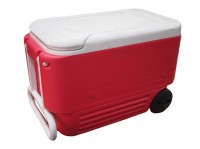 Cooler