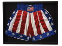 Framed Trunks