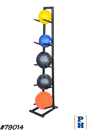 Gym Exercise Equipment
