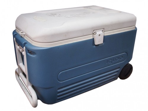 Cooler