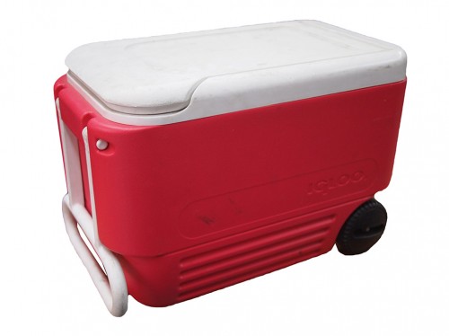 Cooler