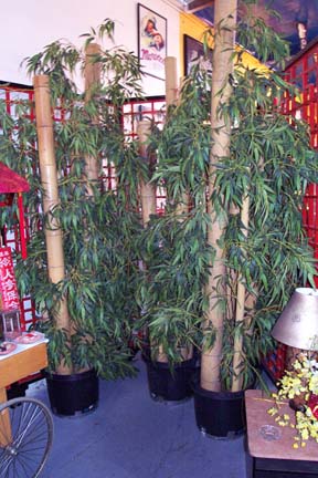 Bamboo Tree