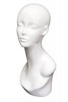 Wig Head