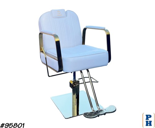 Salon Chair
