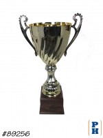 Trophy Cup