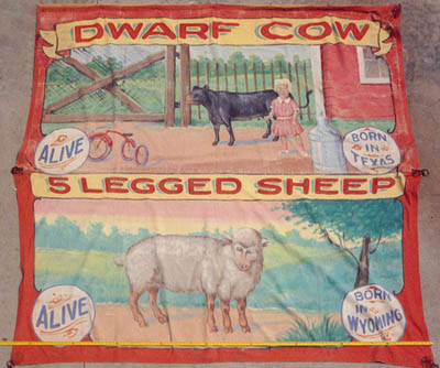 Sideshow Banner