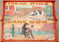 Sideshow Banner