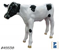 Calf