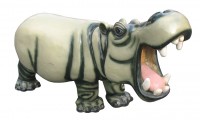 Hippopotamus
