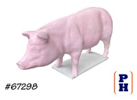 Pig