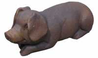 Pig