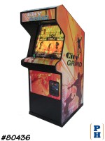 Arcade Video Game