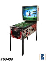Pinball Machine